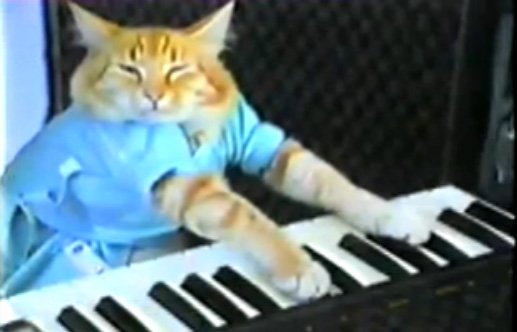 keyboard_cat