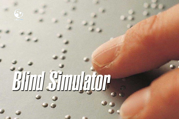 blind-simulator