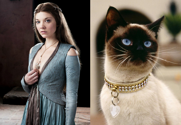 Game-Of-Thrones-Characters-as-Cats-4