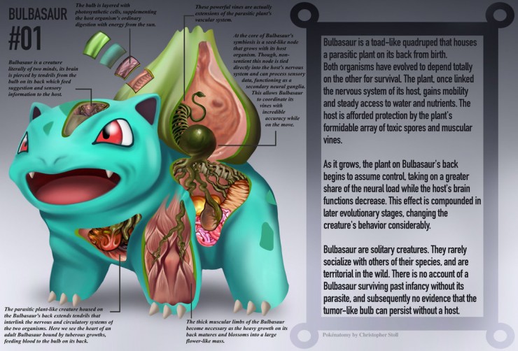 bulbasaur_anatomy__pokedex_entry_by_christopher_stoll-dac1w9d