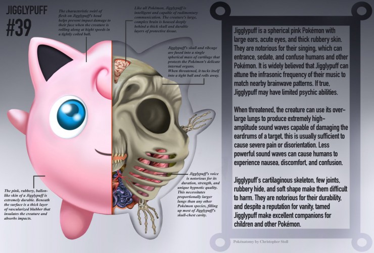 jigglypuff_anatomy__pokedex_entry_by_christopher_stoll-dacb0cp