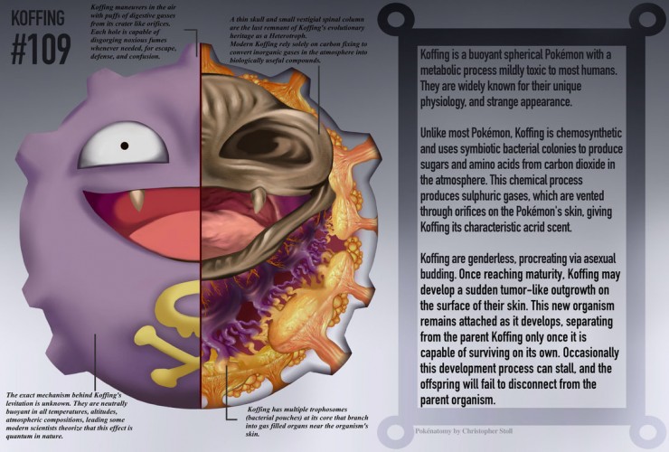 koffing_anatomy__pokedex_entry_by_christopher_stoll-dact6xs
