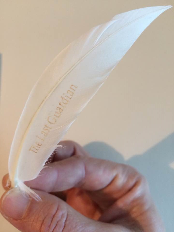 the_last_guardian_feather-1