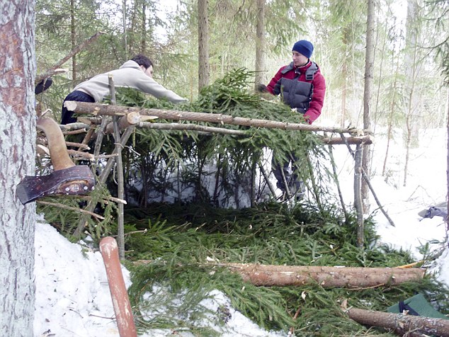 Making winter shed in a forest