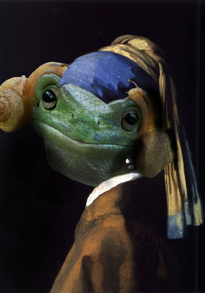 princess-leia-frog-snails-photoshop-battle-13-5839a9bdd2073__700