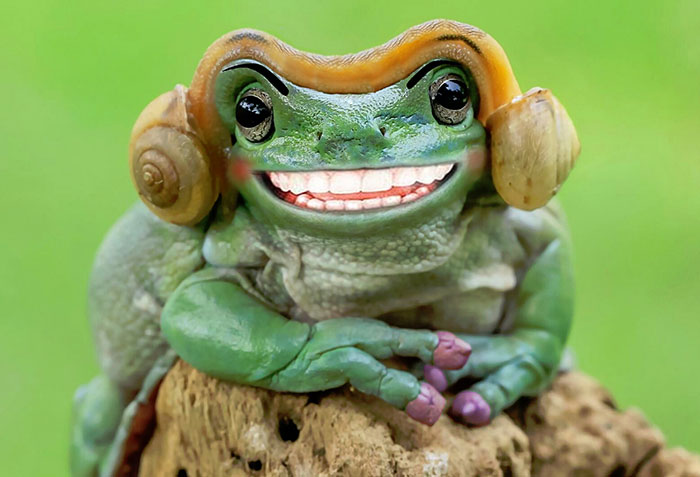 princess-leia-frog-snails-photoshop-battle-4-5839a9ad726f3__700