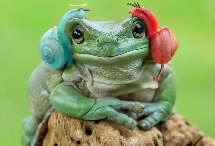 princess-leia-frog-snails-photoshop-battle-9-5839a9b7350c8__700