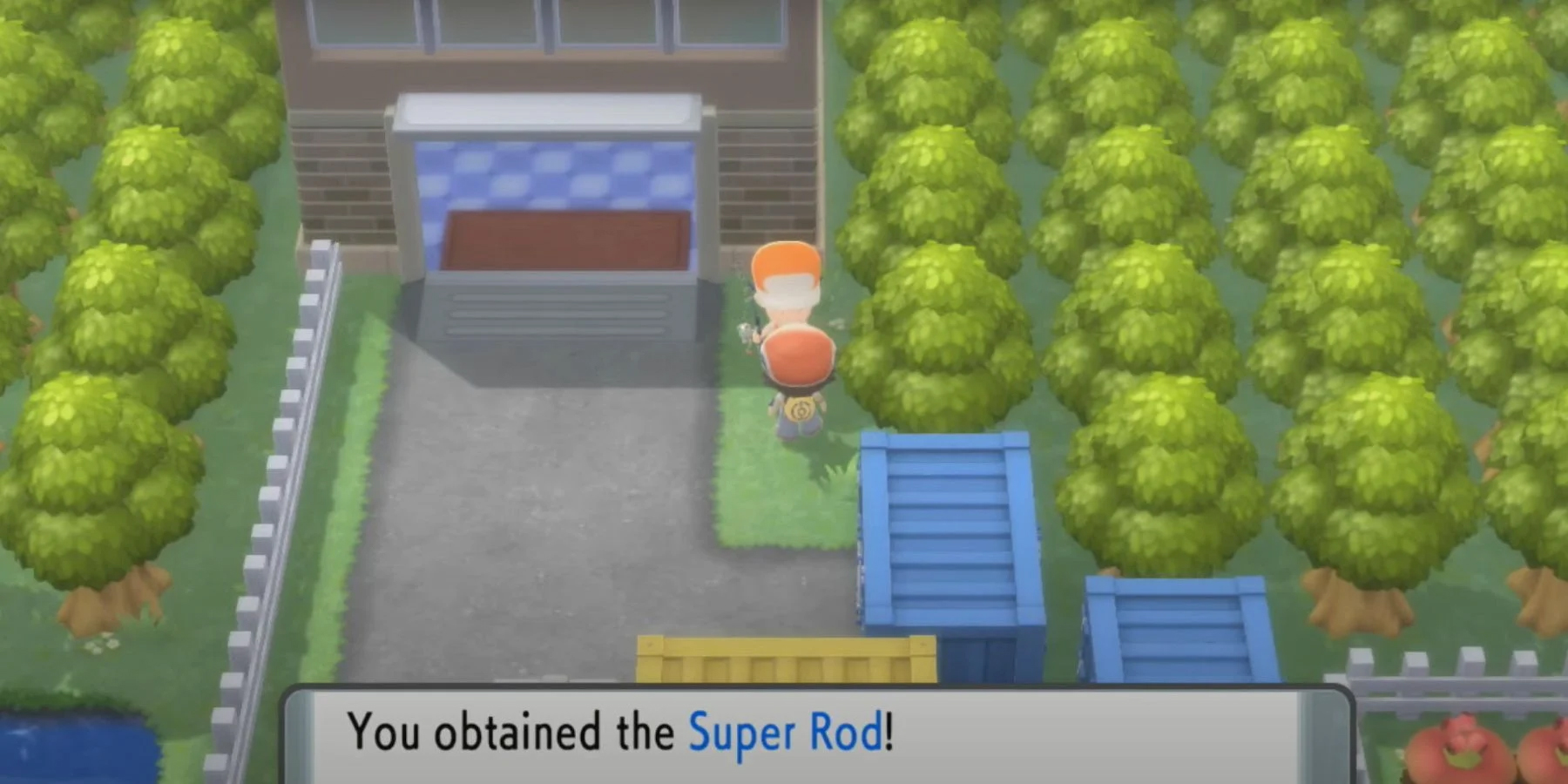 Pokémon Brilliant Diamond e Shining Pearl Onde Encontrar a Super Rod