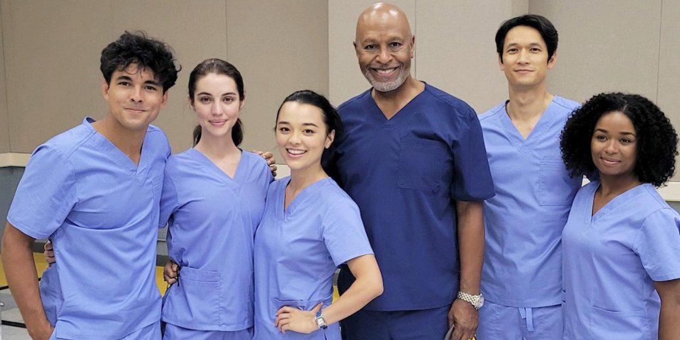 Conheça o novo elenco da 19ª temporada de Grey s Anatomy Critical Hits