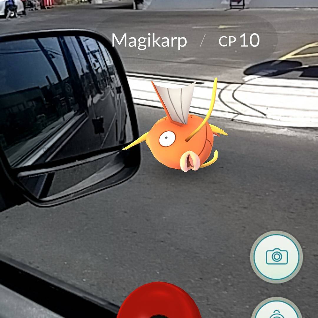 Magikarp continua sendo o pokémon mais patético de todos os tempos