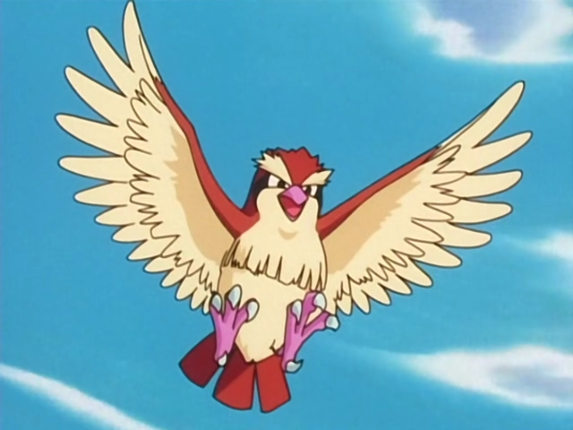 POKÉMON: Tipo Flying