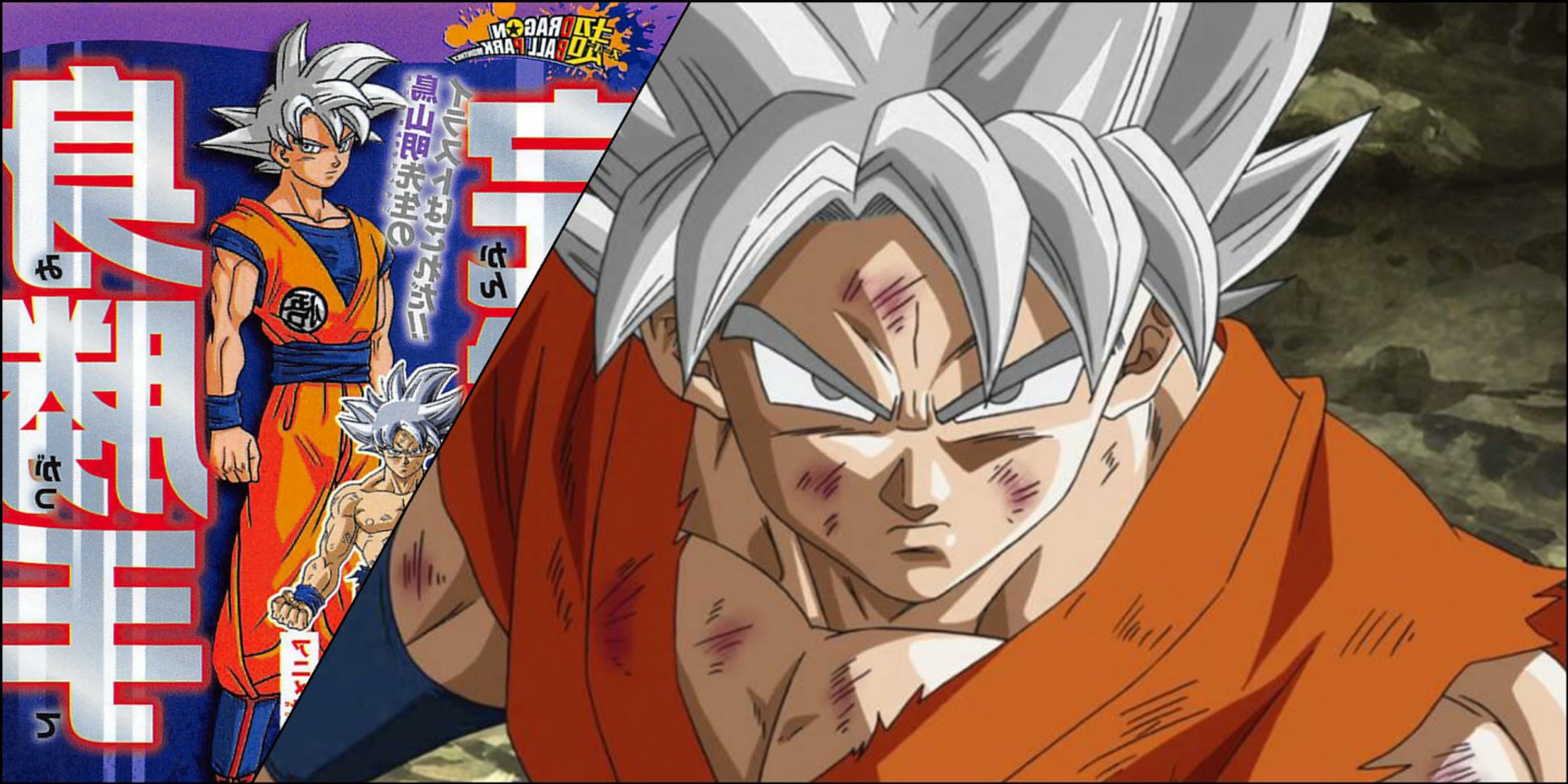 Este é o motivo pelo qual o Instinto Superior Perfeito em Dragon Ball Super  tem Cabelo Branco