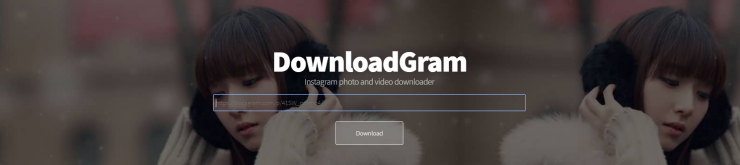 DownloadGram - Baixar Stories Instagram