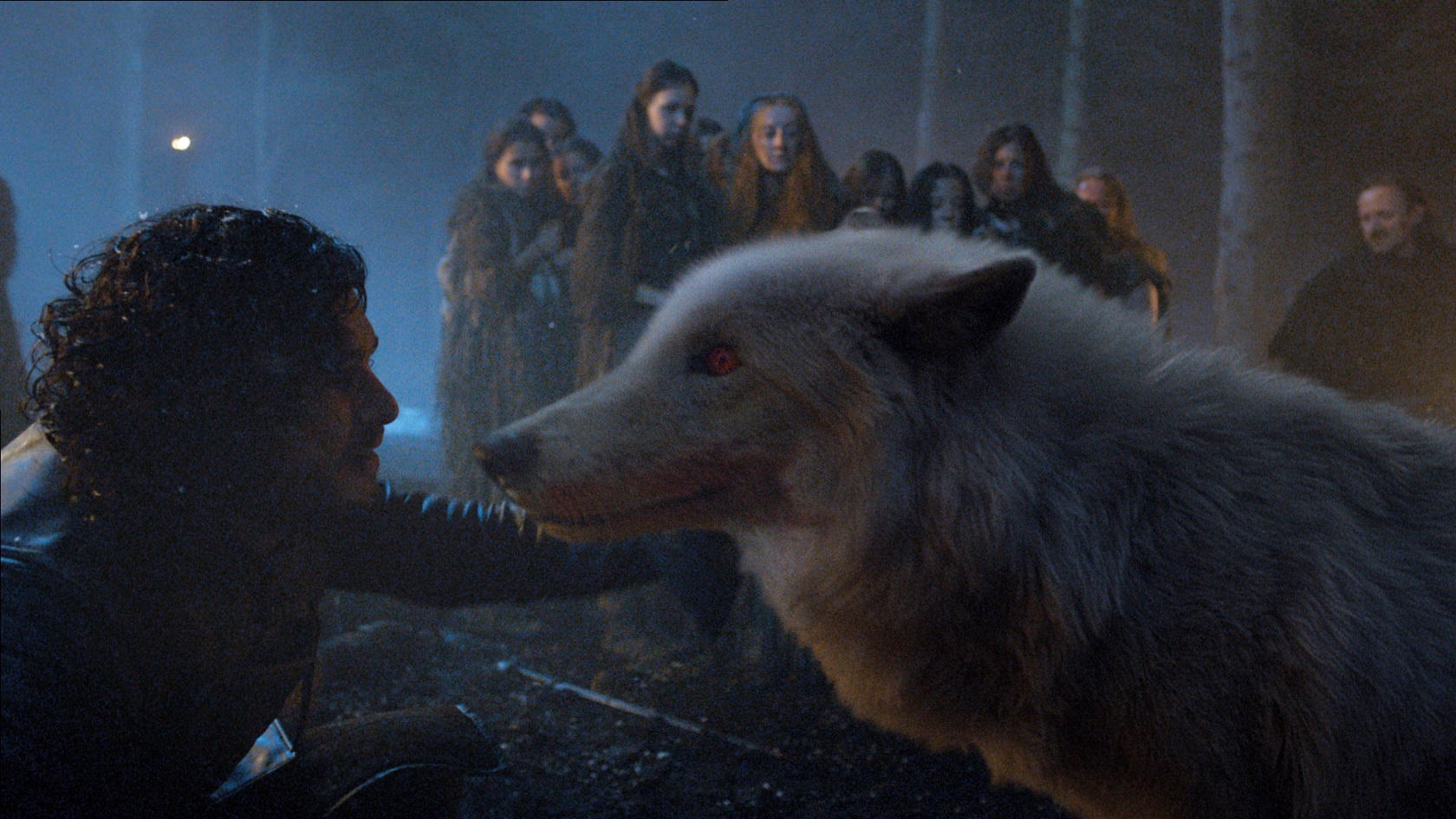 Fantasma, o lobo gigante de Jon Snow, retornará na última temporada de Game of Thrones