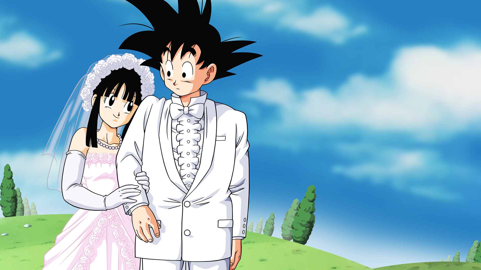 Conjunto casal Dragon Ball Z Goku e Chi Chi completo - Princesa Urbana -  Viva o Encanto