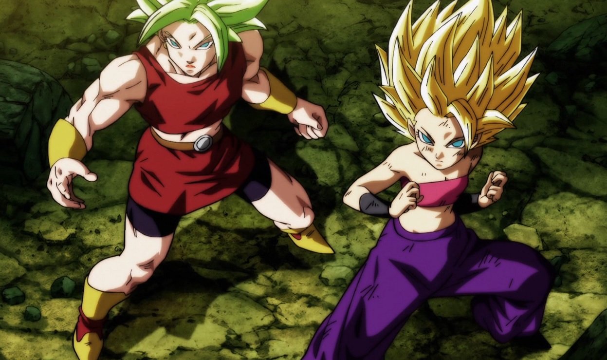 Dragon ball 6º universo