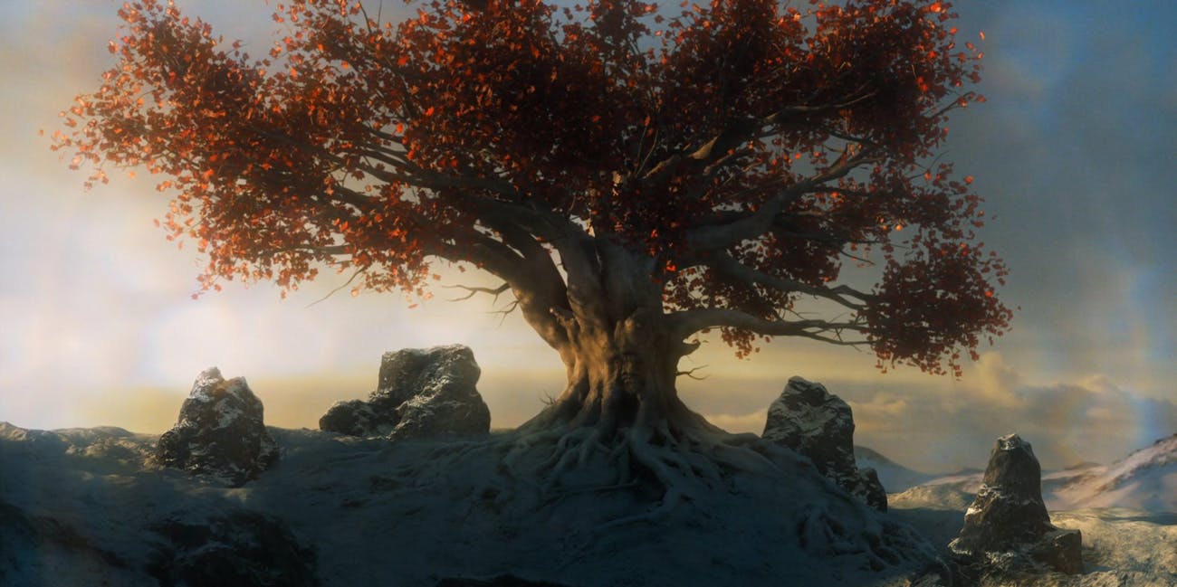 A Árvore-coração de Game of Thrones realmente existe no mundo real