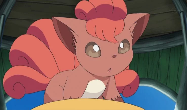 12 da folha pokémon