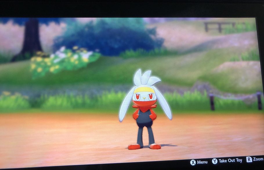 Pokémon Sword and Shield Inicial Raboot