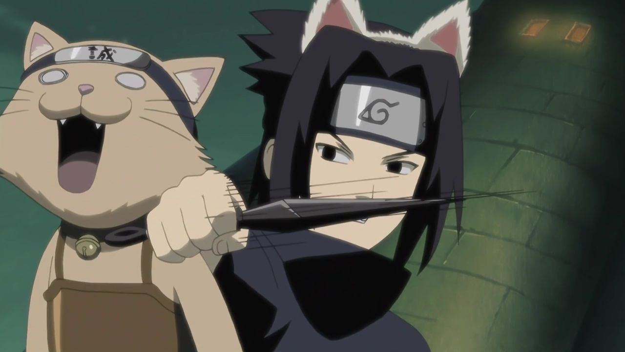 Fã de Naruto cria uma fantasia de Sasuke incrível para o seu gato