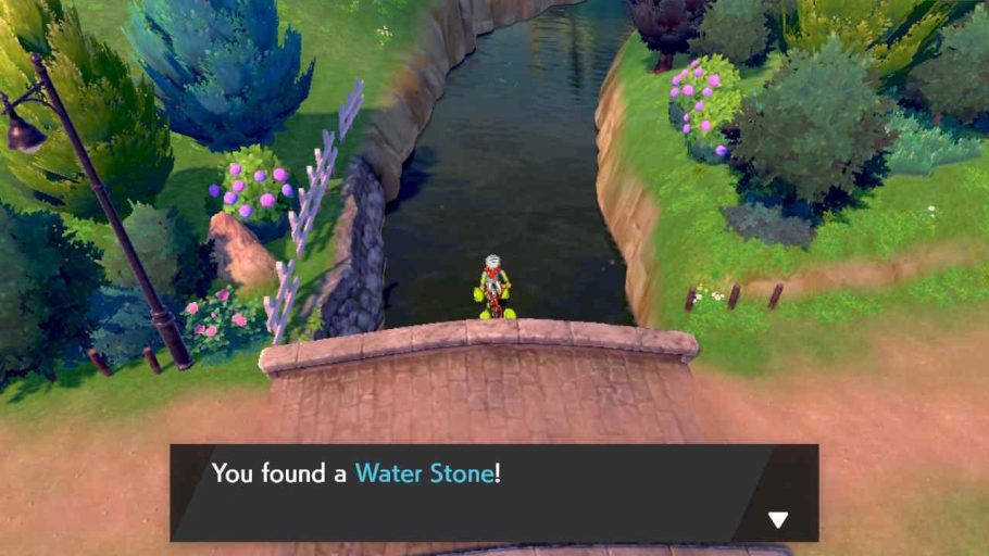Pokémon Sword Shield Evolution Stones