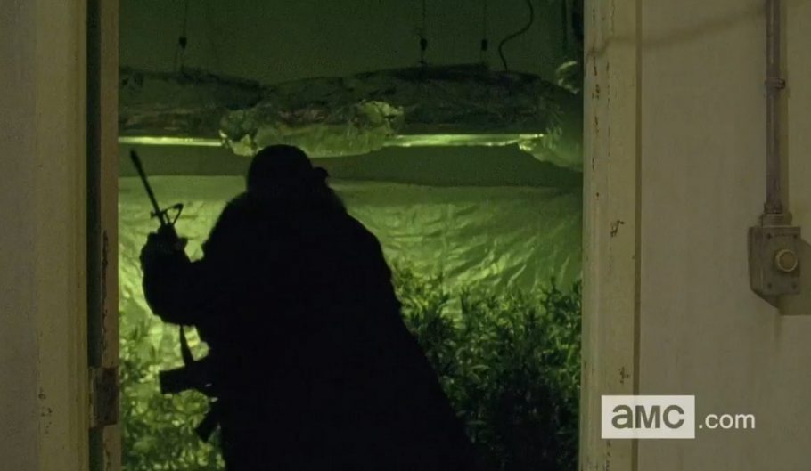Fãs de The Walking Dead estão se perguntando onde Daryl arruma os seus cigarros