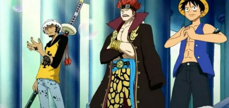 Luffy Law Kid
