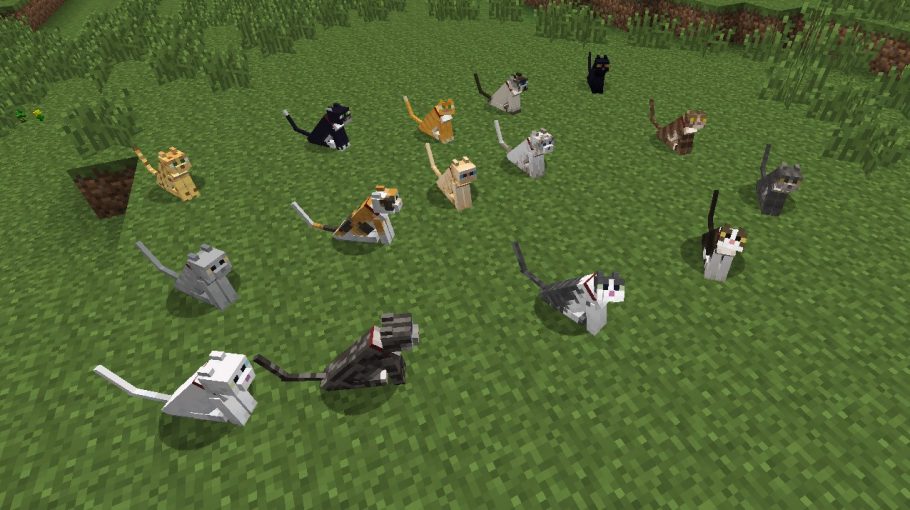 Minecraft como domar gato