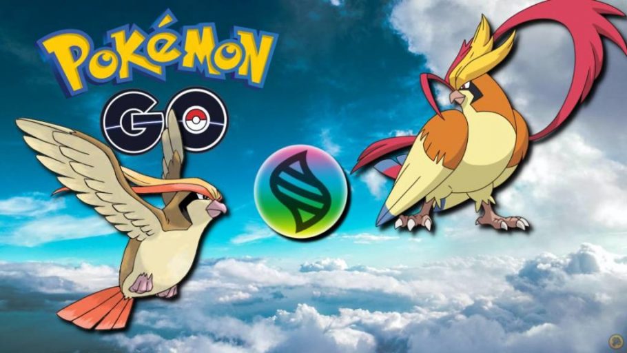 Pokémon GO: Mega Pidgeot; como batalhar nas reides, melhores ataques e  counters, esports