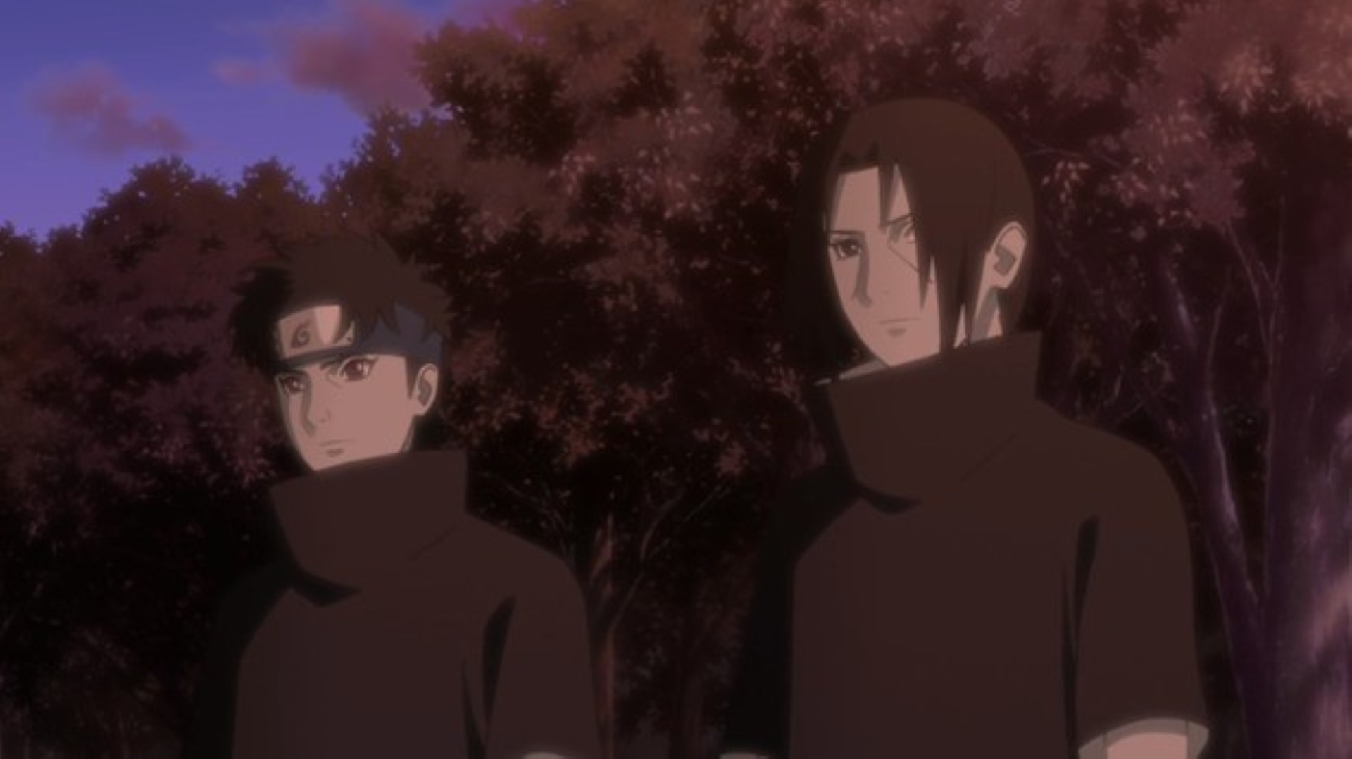 Itachi and Shisui Uchiha