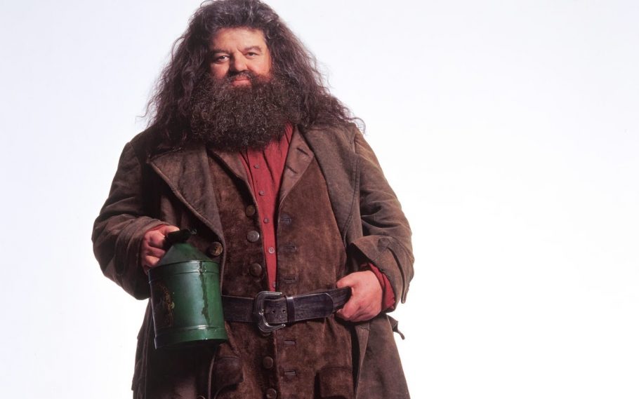 Confira o quiz sobre o personagem Rúbeo Hagrid de Harry Potter abaixo