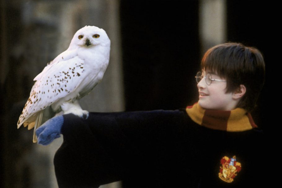 Quiz - Duvidamos que você lembre quais são os bichos de estimação destes personagens de Harry Potter