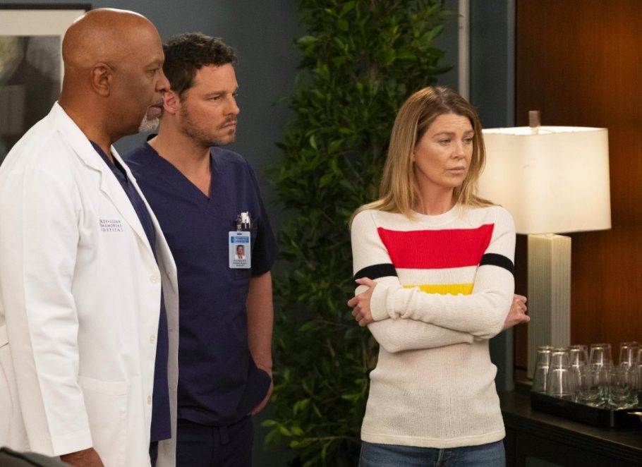 Confira o nosso quiz de verdadeiro ou falso sobre a 15ª temporada de Grey's Anatomy abaixo