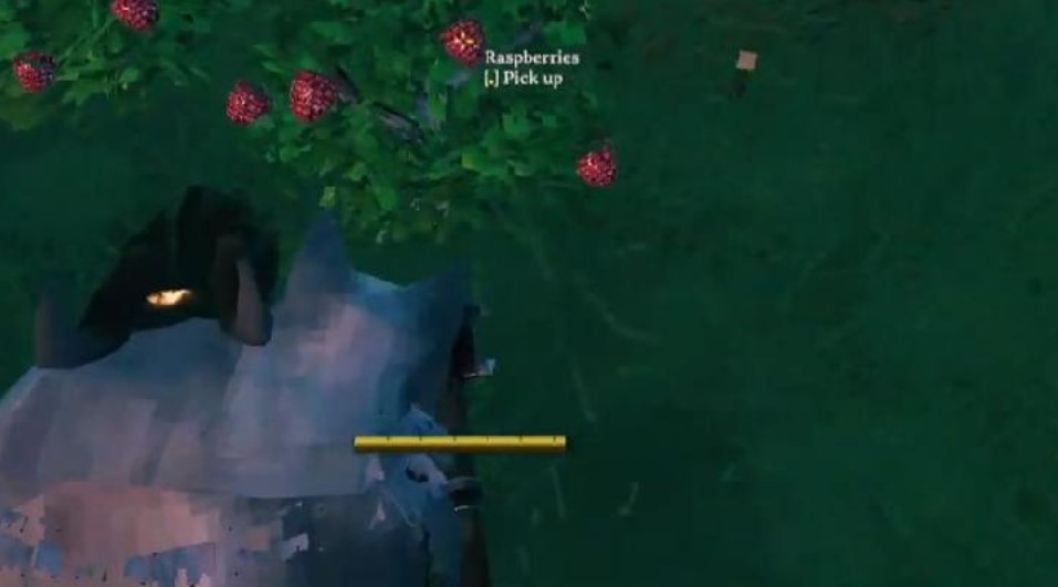 Valheim Como plantar Bagas (Berries) Critical Hits