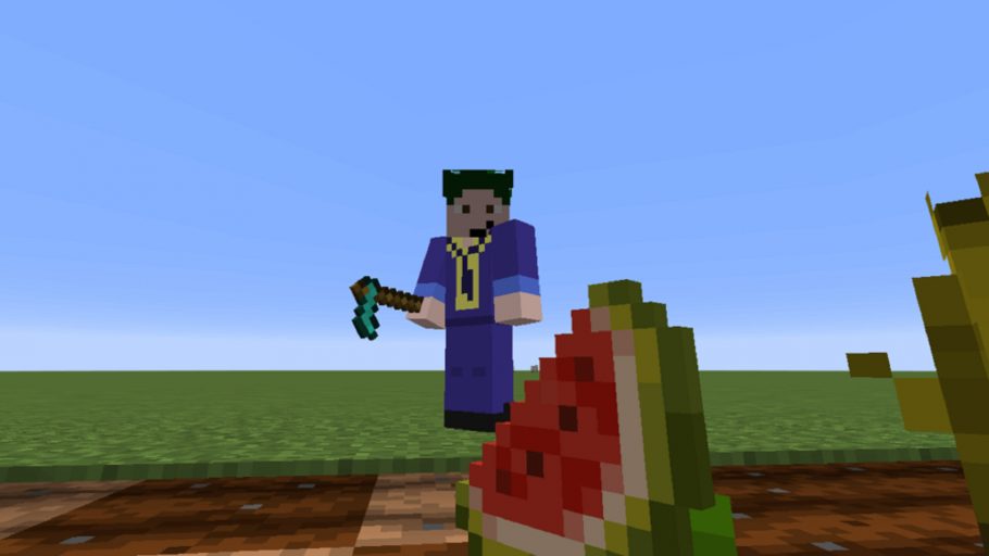 Plantação Correta e Automática no Minecraft #minecraft