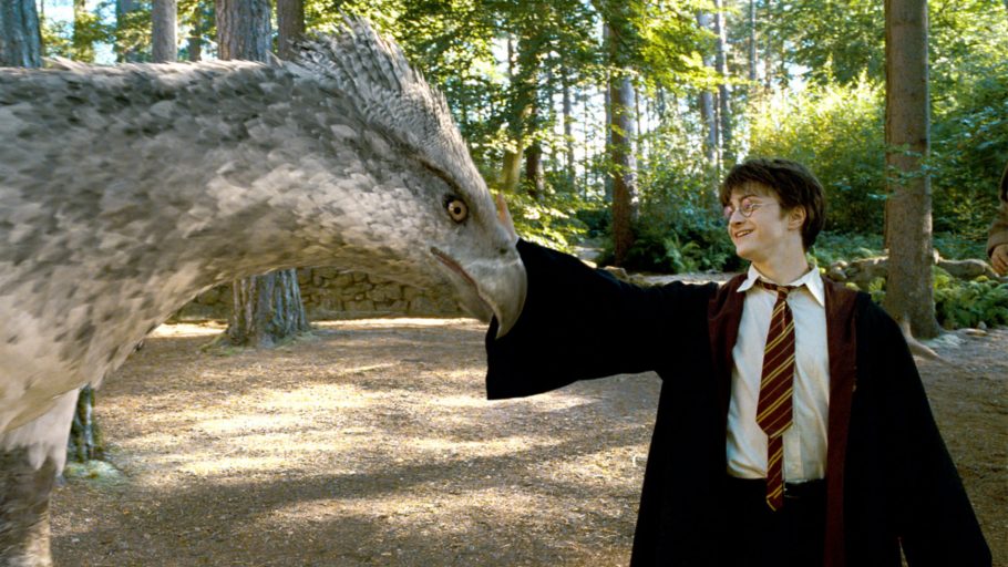 Confira o nosso quiz sobre as Criaturas Mágicas de Harry Potter abaixo