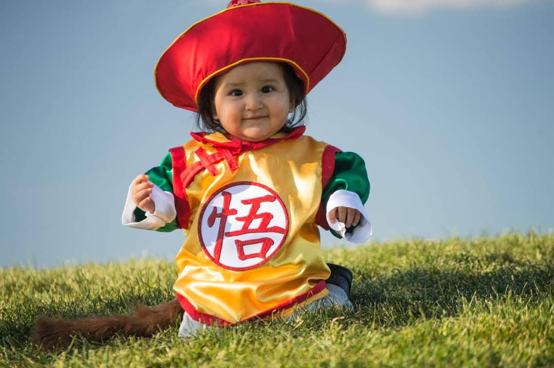 Fã de Dragon Ball viralizou no Reddit ao compartilhar uma foto do seu filho como Gohan