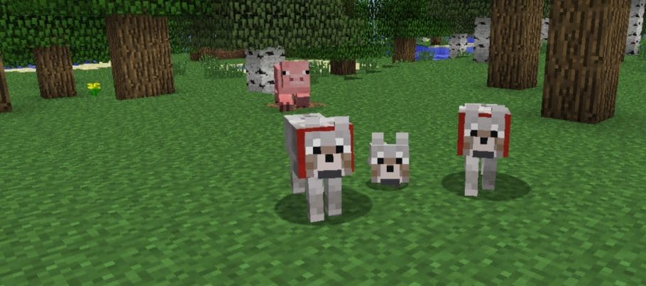 Minecraft lobos procriar