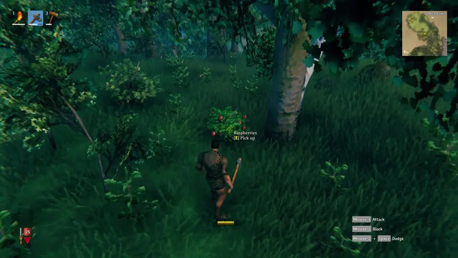 Valheim - Como conseguir Framboesa e Mirtilo no jogo