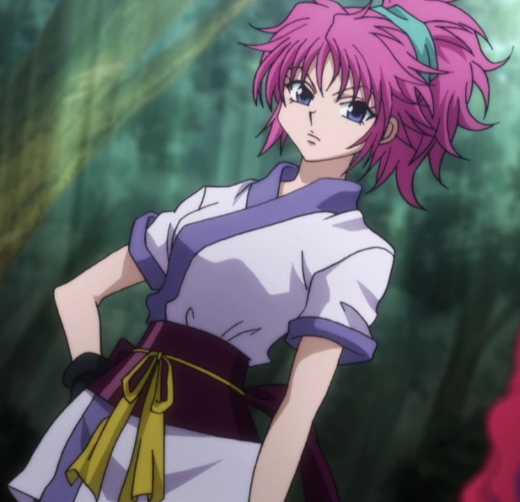 Top Personagens Femininas de Hunter x Hunter