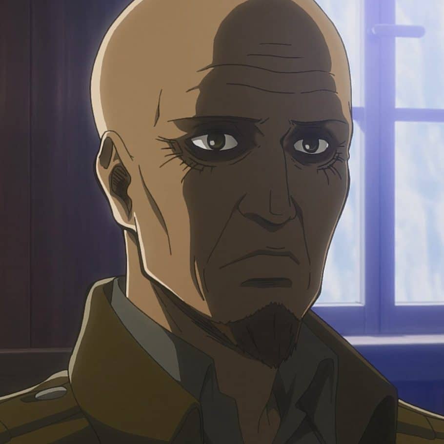 CONHEÇA A IDADE DOS PERSONAGENS DE SHINGEKI NO KYOJIN (ATTACK ON