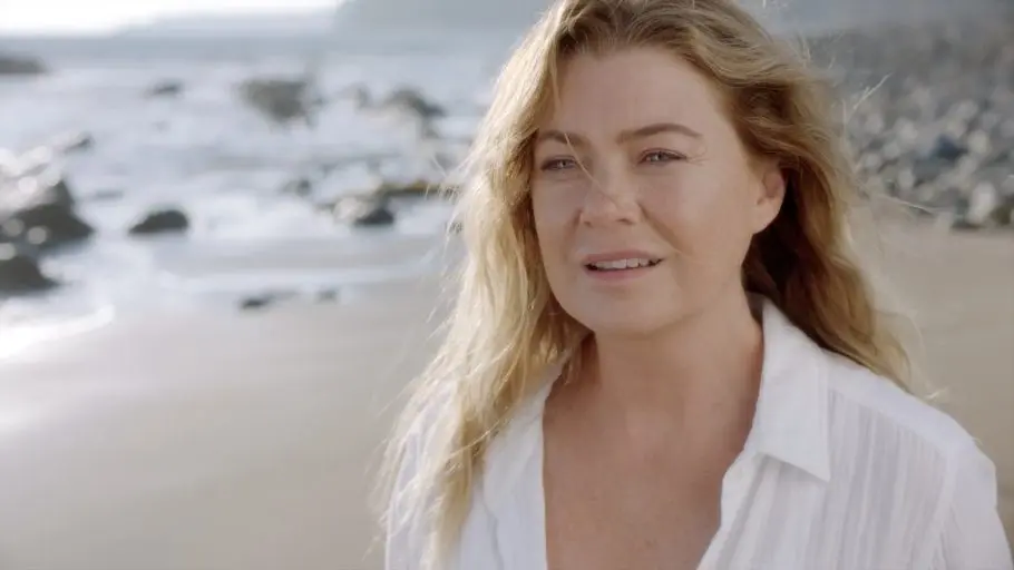 Grey's Anatomy - Personagens e Elenco da 17ª Temporada