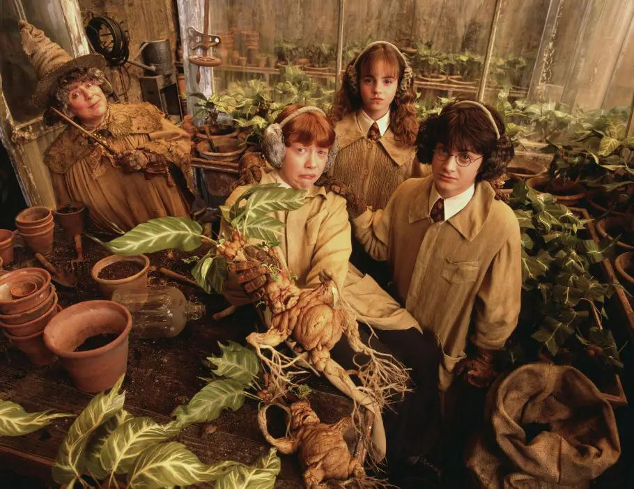 Quiz - Duvidamos que você saiba qual professor leciona estas aulas de Hogwarts em Harry Potter