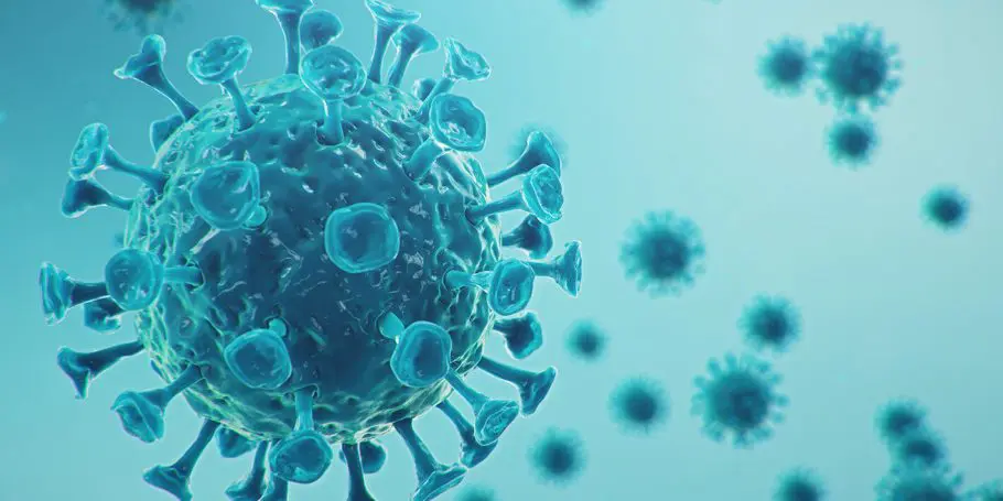 Site estima quando você será vacinado contra a COVID 19