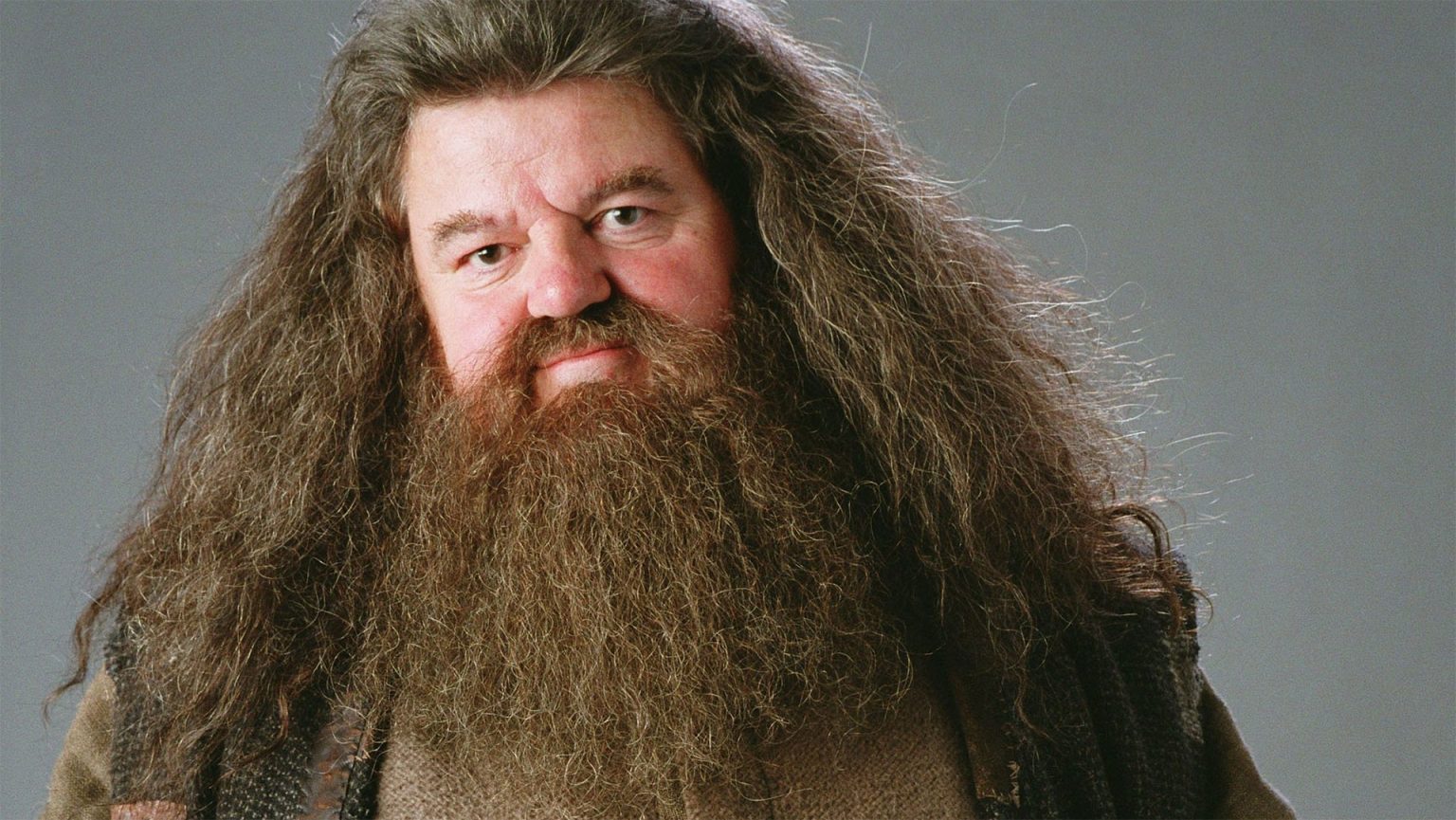 Os 29 personagens mais importantes de Harry Potter - Critical Hits