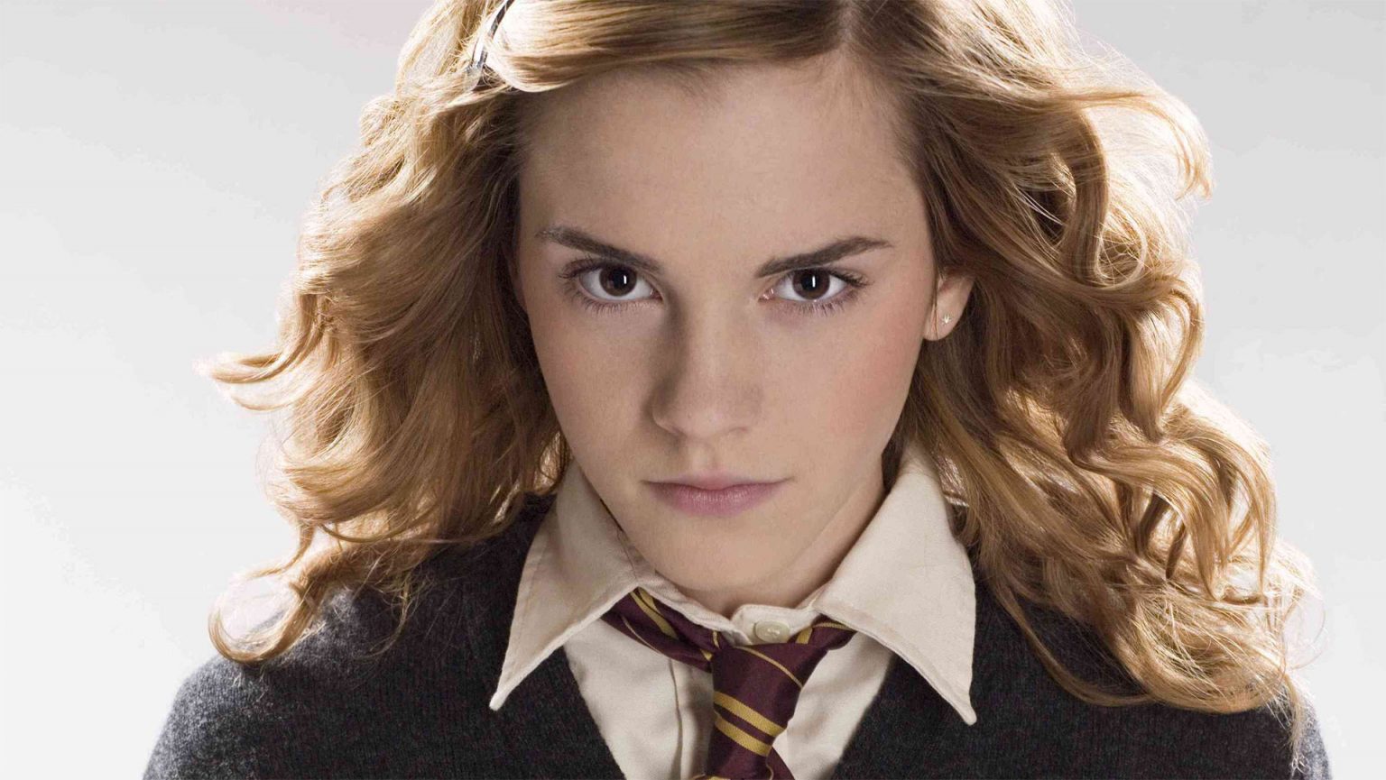 Os 29 personagens mais importantes de Harry Potter - Critical Hits