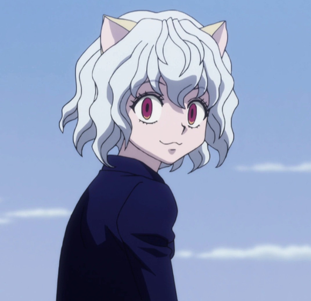 Hunter x Hunter Personagens