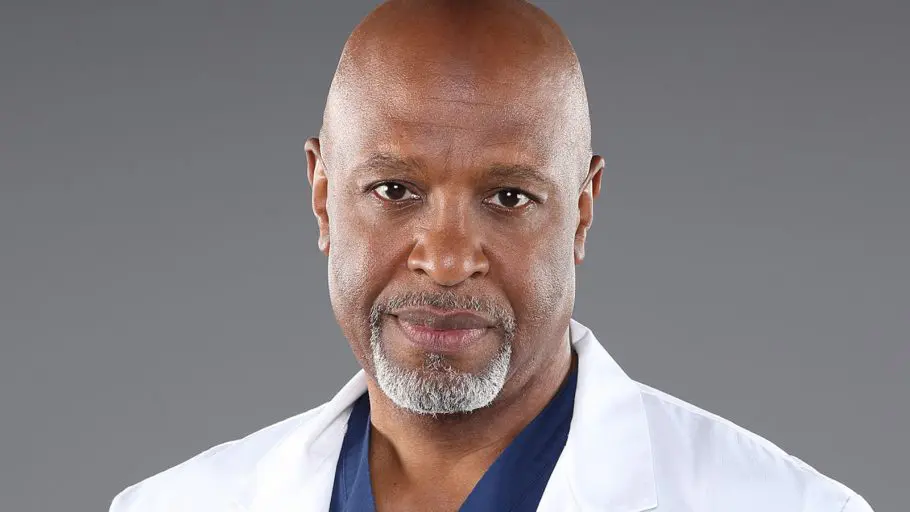 Grey's Anatomy - Personagens e Elenco da 17ª Temporada