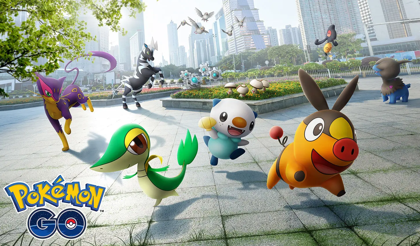Pokémon GO Doce XL