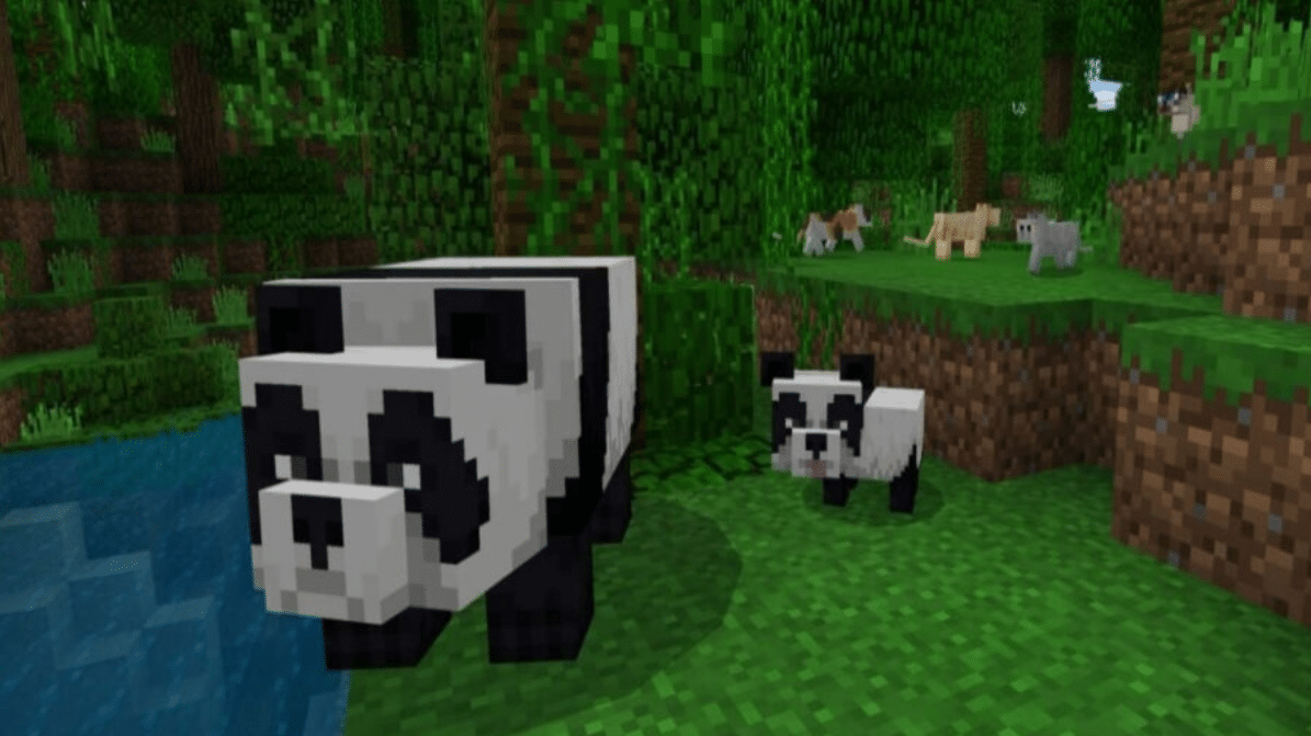 Minecraft pandas reproduzirem